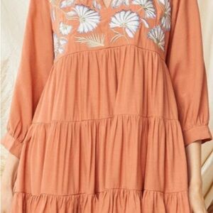 Entro embroidered Dress in terracotta size M